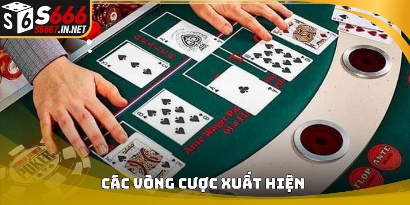 Các vòng cược xuất hiện trong Hướng dẫn chơi poker