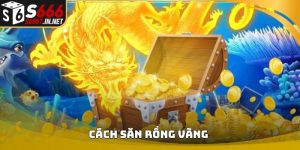 Cách săn rồng vàng