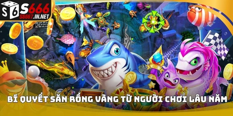 Bí quyết săn rồng vàng từ người chơi lâu năm