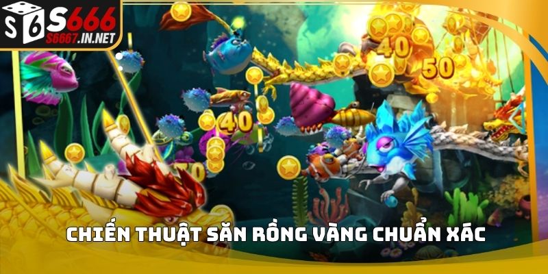 Chiến thuật săn rồng vàng chuẩn xác