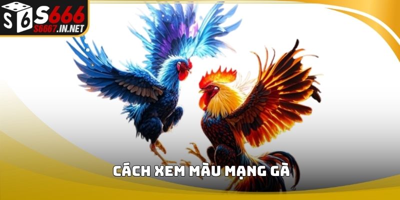 Cách xem màu mạng gà