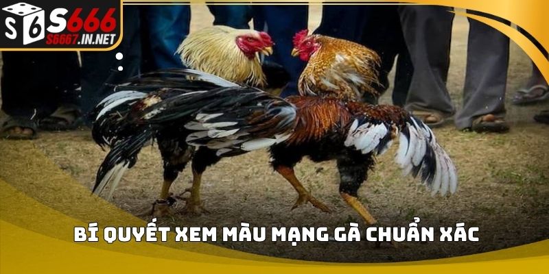 Bí quyết xem màu mạng gà chuẩn xác