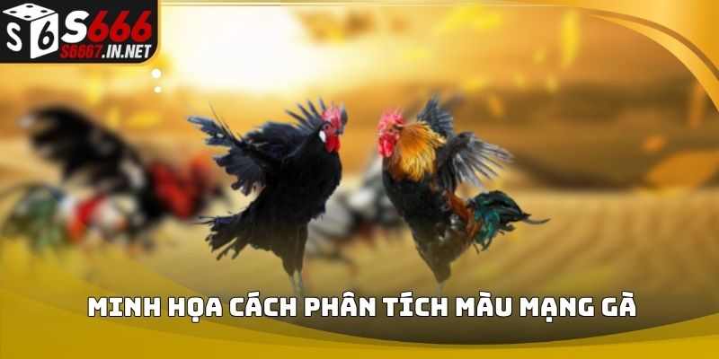 Minh họa cách phân tích màu mạng gà