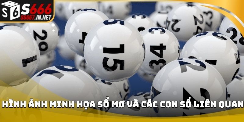 Hình ảnh minh họa sổ mơ và các con số liên quan