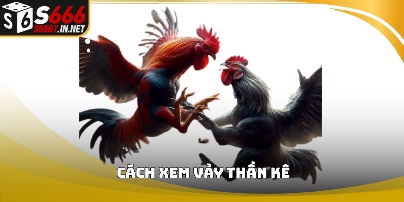 Cách xem vảy thần kê