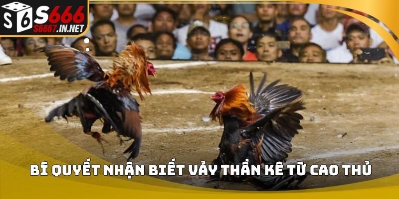 Bí quyết nhận biết vảy thần kê từ cao thủ