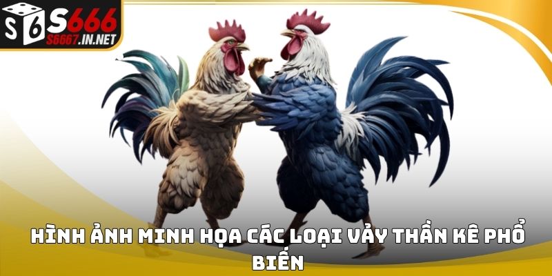 Hình ảnh minh họa các loại vảy thần kê phổ biến