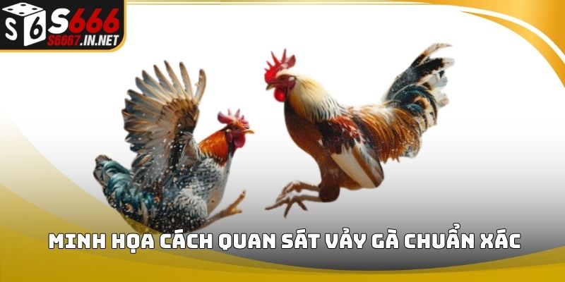 Minh họa cách quan sát vảy gà chuẩn xác