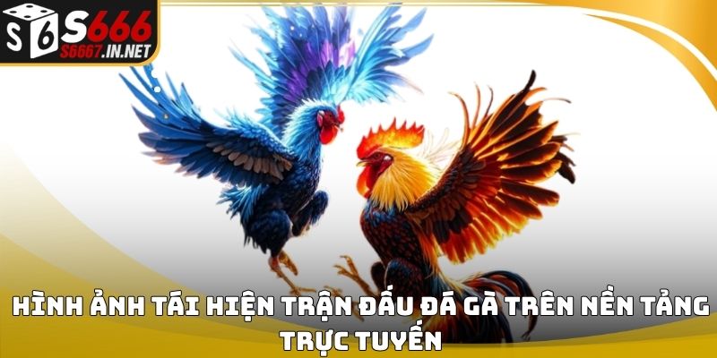 Hình ảnh tái hiện trận đấu đá gà trên nền tảng trực tuyến