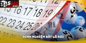 Kinh nghiệm bắt lô rơi
