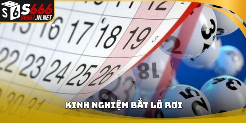 Kinh nghiệm bắt lô rơi