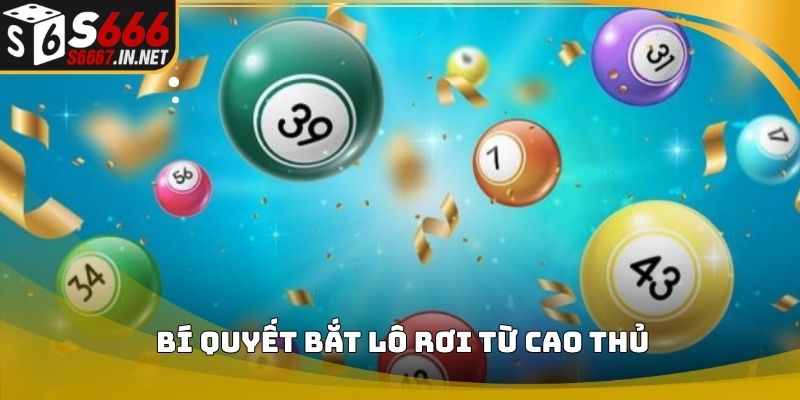 Bí quyết bắt lô rơi từ cao thủ