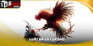 Luật đá gà cựa dao