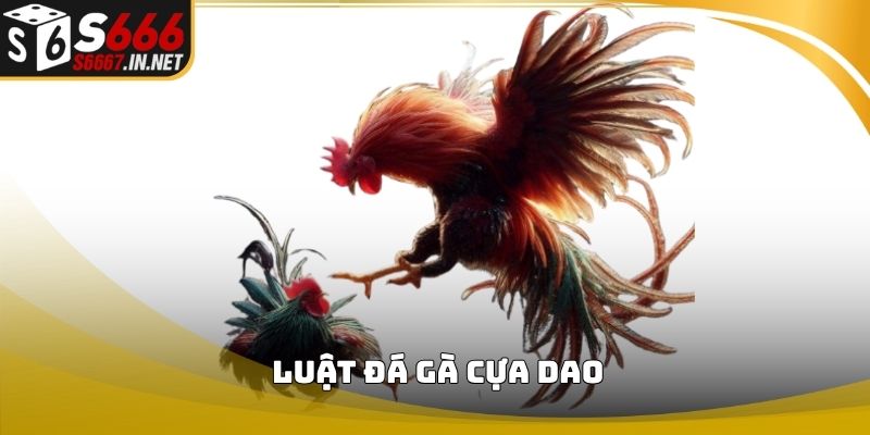 Luật đá gà cựa dao