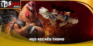 Mẹo soi kèo thomo