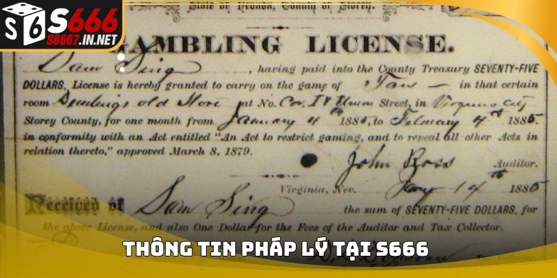 Thông tin pháp lý xuất hiện trong nội dung giấy phép hoạt động của S666