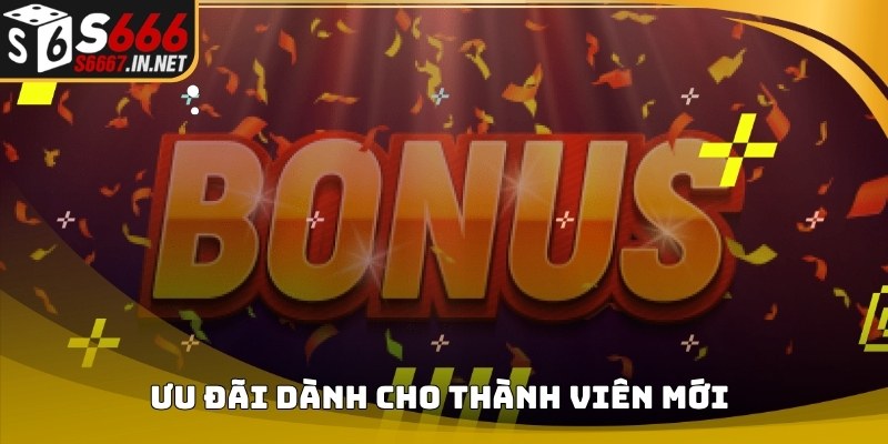 Bảng thống kê chương trình ưu đãi dành cho thành viên mới