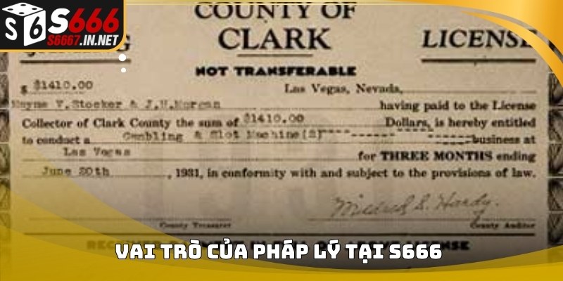 Vai trò pháp lý của giấy phép hoạt động trên nền tảng